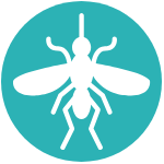 Mosquito Icon