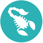 Scorpion Icon